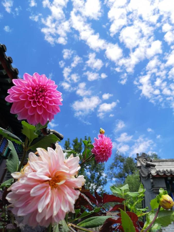 Chengde Kai Ren Hua Fu Inn Bi Shu Shan Zhuang Dian Exteriör bild